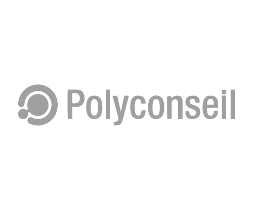 Fuzz Interactive référence Polyconseil